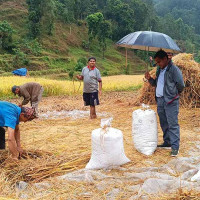 लुम्बिनी प्रादेशिक अस्पताल : फार्मेसी सेवापछि सेवाग्राहीलाई राहत