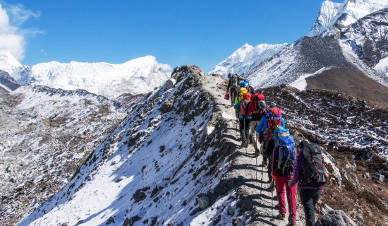 क्यान्सर रोगमा उपयोगी लौठसल्लाको संरक्षण