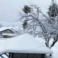 पद्मश्रीमा पाँच कृति छनोट