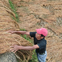 हिमालमै हिउँ जोगाउन सकस