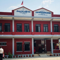 झन्डै पाँच हजार कैदी फर्किए