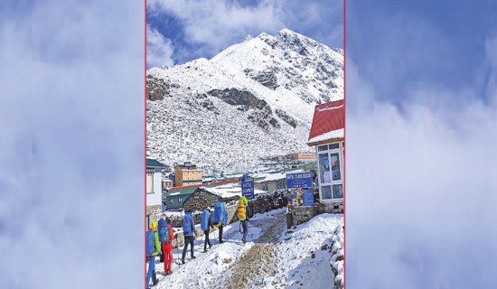 अरनिको राजमार्गको संसदीय अनुगमन