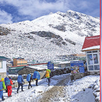 ड्र्यागन खेतीमा युवाको आकर्षण