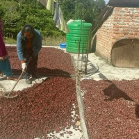 राष्ट्रिय युवा नीति भदौ भित्रै आउँछ : मन्त्री चौधरी