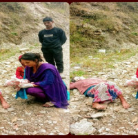 खुम्बुमा पाँच हजारभन्दा बढीको बिचल्ली