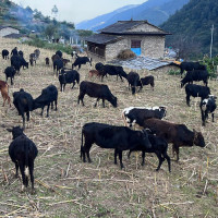 भूतको कथा