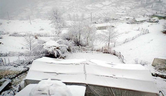 समावेशीकरणको दिशामा नयाँ फड्को : गोरखापत्रद्वारा प्रकाशित ल्होमी भाषा