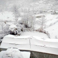 मुनमा युवा मन