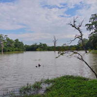 नवनियुक्त प्रधानमन्त्री ओलीले आज शपथ लिनुहुँदै