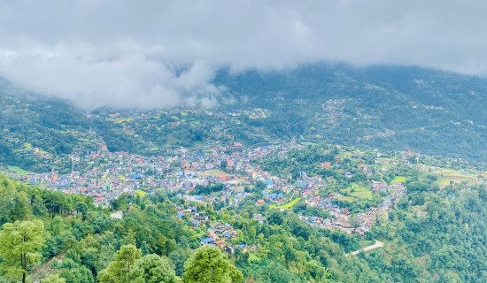 पानी पर्न रोकिएपछि खुलेको तम्घास