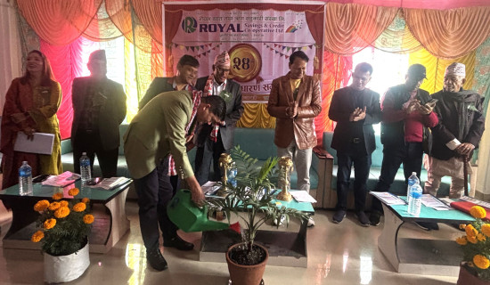 रोयल सहकारीको ३४ लाख रुपियाँ मुनाफा