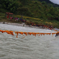 एक सय ११ किलोग्राम गाँजासहित एकजना पक्राउ