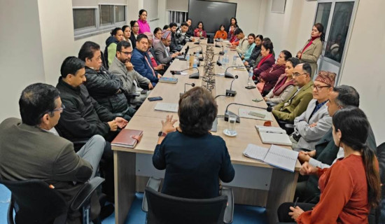 सरकार र आन्दोलनरत नर्सबिच सहमति