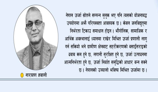 निजामती होइन, सार्वजनिक सेवा