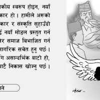 निजामती होइन, सार्वजनिक सेवा