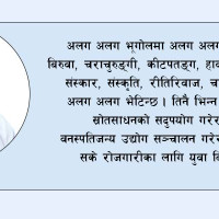 निजामती होइन, सार्वजनिक सेवा