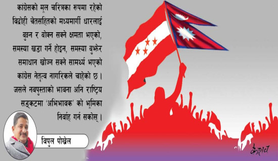 निजामती होइन, सार्वजनिक सेवा