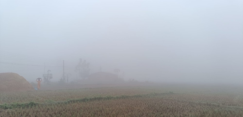 कात्तिकमै बाक्लो हुस्सु