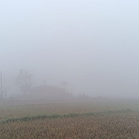 ‘पूर्णबहादुरको सारङ्गी’ बन्यो सर्वाधिक कमाउने चलचित्र