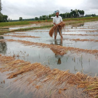 दसैँमा चलचित्र जुधाइँदै