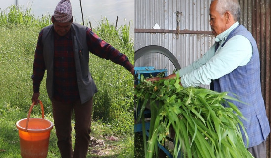 विघटनको सँघारमा नेकपा एकीकृत समाजवादी