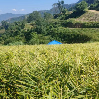 बिदाको सदुपयोग