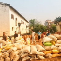 उपकुलपतिसहित १३ जनाविरुद्ध मुद्दा