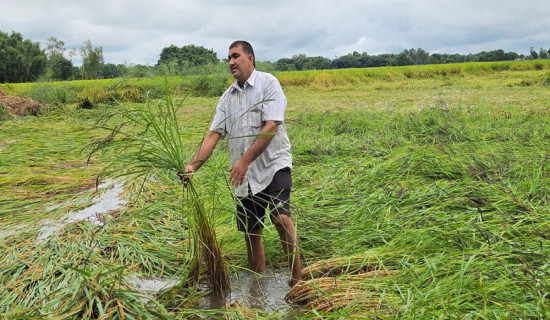 ‘भारतसँग उच्चस्तरीय वार्ताको तयारी हुँदैछ’