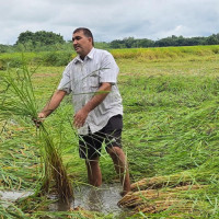 ११८ वटा अस्पतालबाट   स्वास्थ्य सेवा लिन सकिने