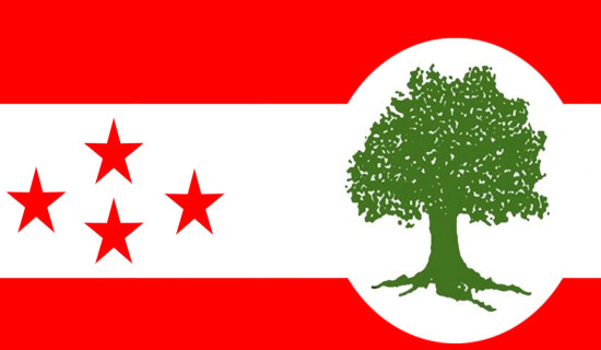 कांग्रेसले बहुमत ल्याउने गरी निर्वाचनकाे तयारीमा लाग्नुस् : महामन्त्री गगन थापा