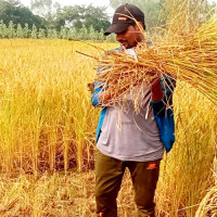 राप्ती स्वास्थ्य विज्ञान प्रतिष्ठानले आइतबार सार्वजनिक बिदा नदिने