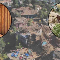 चौधरीको 'नयाँ वनपाले' सर्वोत्कृष्ट