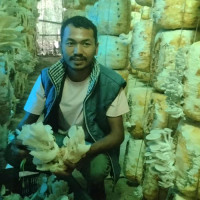 ‘माला’ बजारमा