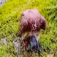 करिब सवा २१ अर्बको सहायता सम्झौता