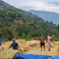 उपचार लिन पालो कुर्नुपर्ने अवस्था हट्छ : मुख्यमन्त्री आचार्य