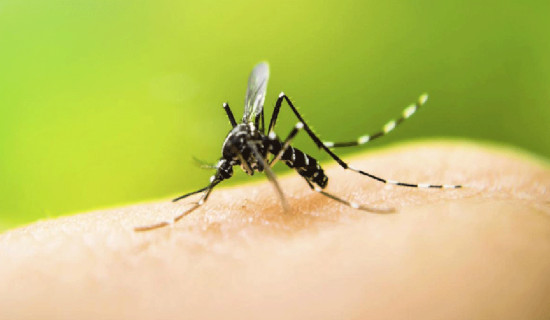 १२ जना सङ्क्रमित, ३२ सङ्क्रमण मुक्त