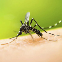 दोस्रो कार्यकालका लागि नेपालले सहयोग गर्ने