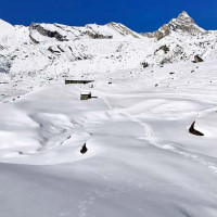 इनरुवा अस्पतालमा विवाद , छ महिनादेखि तलब रोक्का
