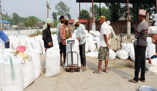 कालीगण्डकीमा पाइन छाडे शालिग्राम