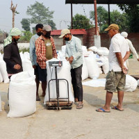 सकियो साउन, सकिएन रोपाइँ