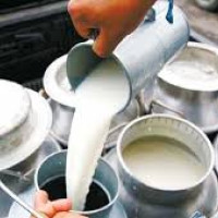 पूर्वराष्ट्रपति भण्डारी राजनीतिमा फर्कनु अनुचित