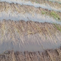 निजी खर्चमा विद्यालयमा क्लिनिक