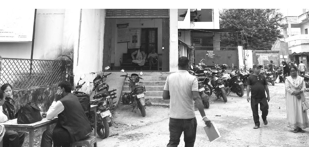 कार्यालयमा सेवाग्राहीको चाप