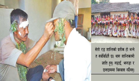 सेतो टीकाको महत्व