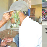 राजस्व जति सुविधामै खर्च