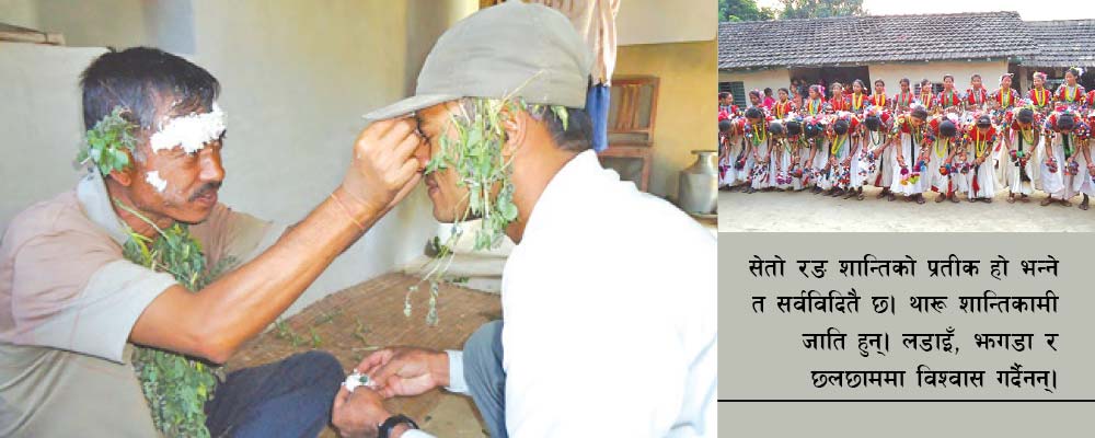 सेतो टीकाको महत्व