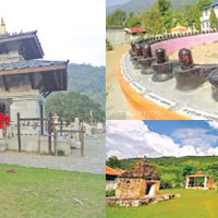 वायुसेवा निगमसहित पन्ध्र सरकारी संस्थान घाटामा