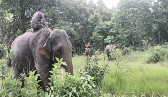 रोबोट बनाउने विद्यार्थी वैज्ञानिक भएको महसुस गर्दै (फोटो फिचर)