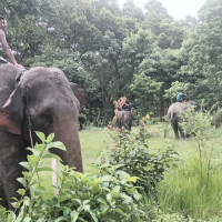 मालपोत कार्यालयमा राजस्व सङ्कलन