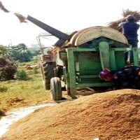 मलेसियाको श्रम मापदण्डबारे धारणा माग